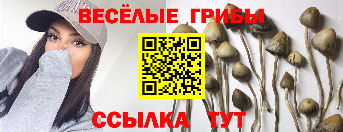 Псилоцибиновые грибы Magic Shrooms Кунгур