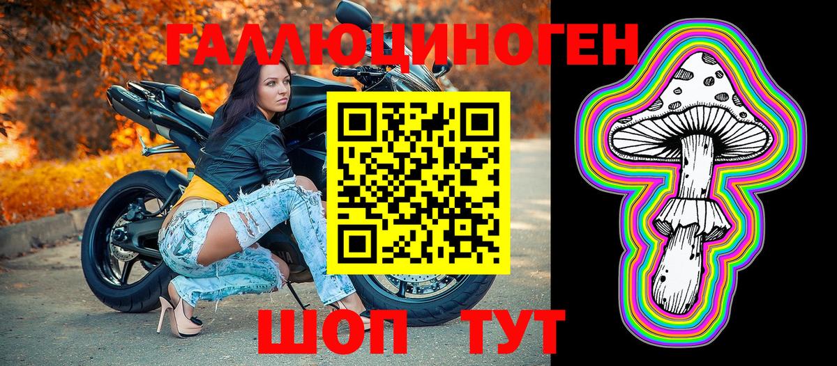 что такое   Псилоцибиновые грибы ЛСД  Вход с VPN  Кунгур 